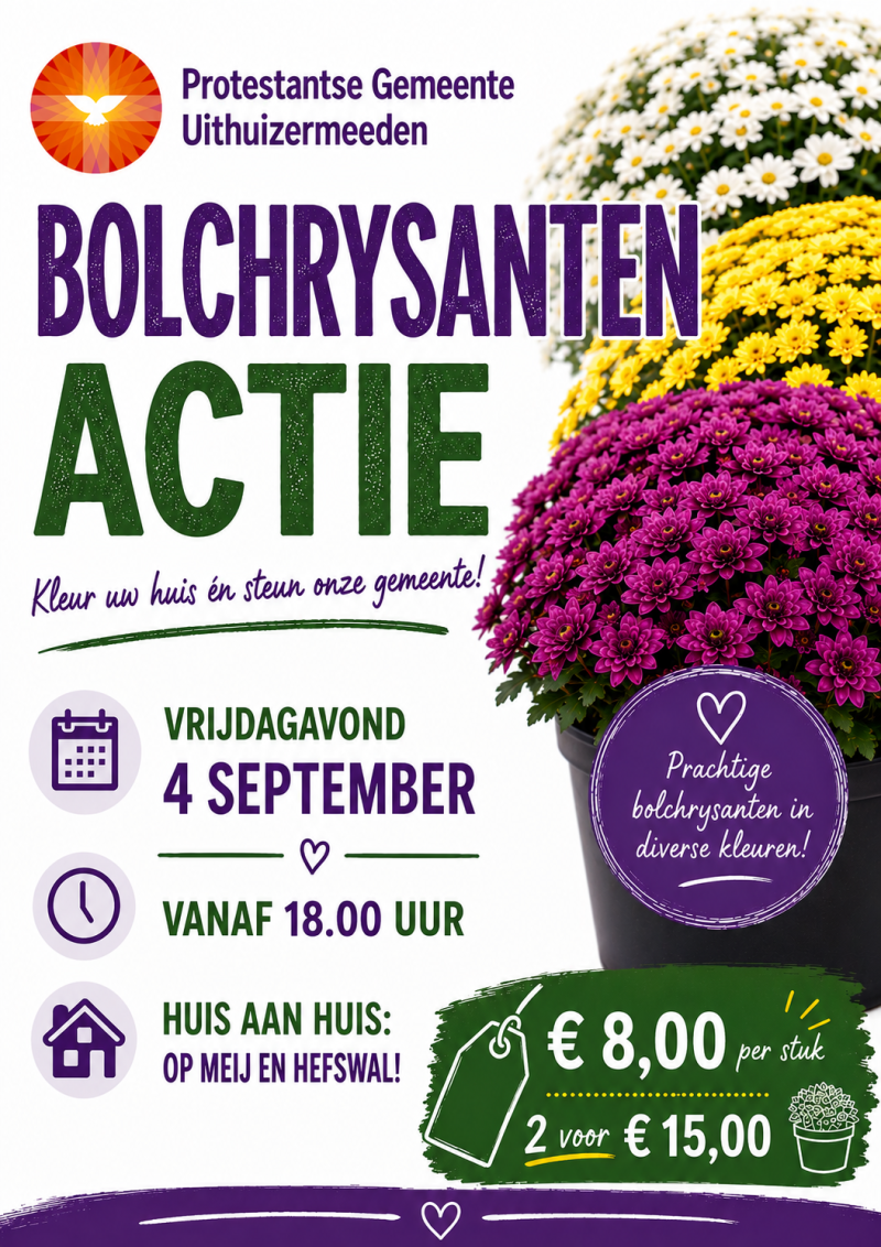 Bolchrysantenactie 2026 