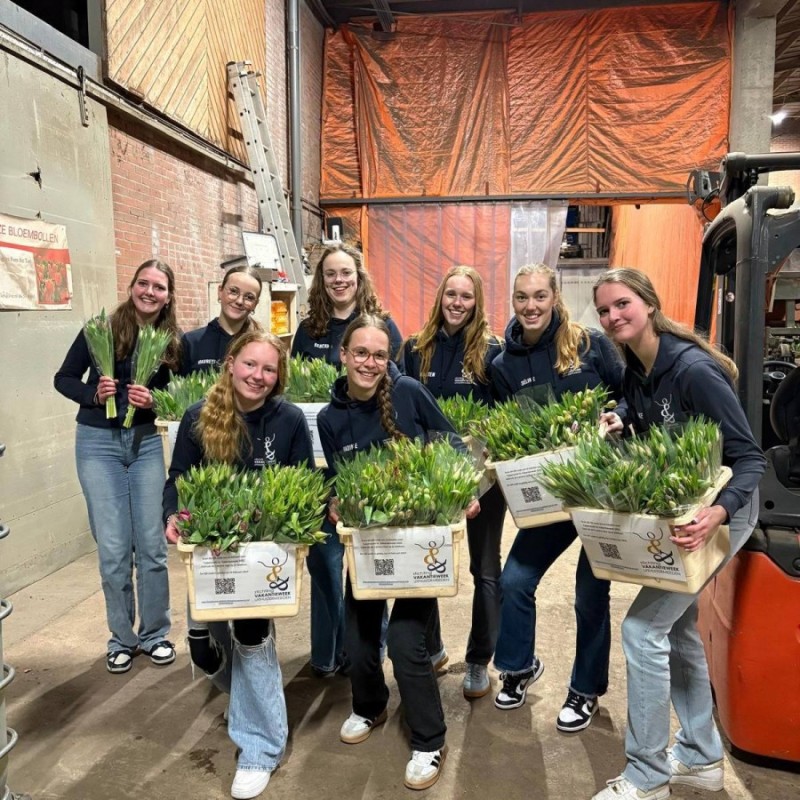 Bollenactie voorjaar