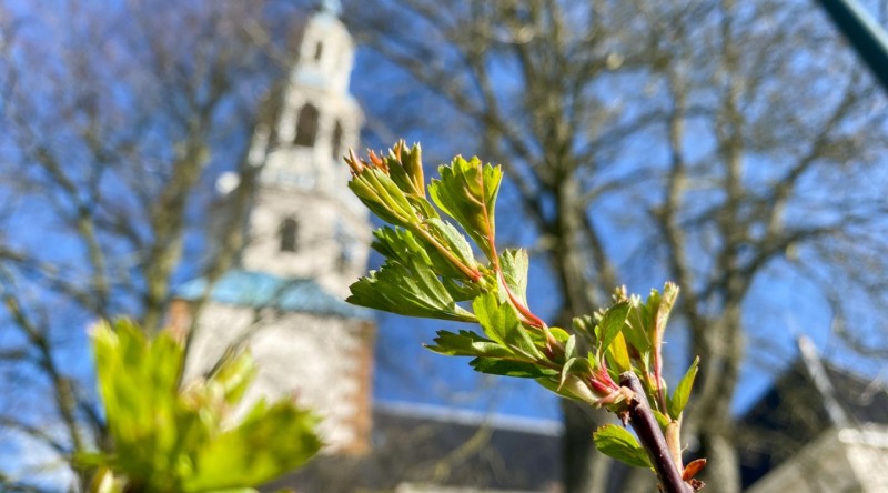 Mariakerk voorjaar 2020