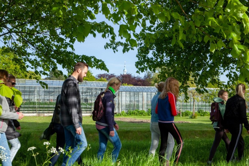 Wandelvierdaagse v2