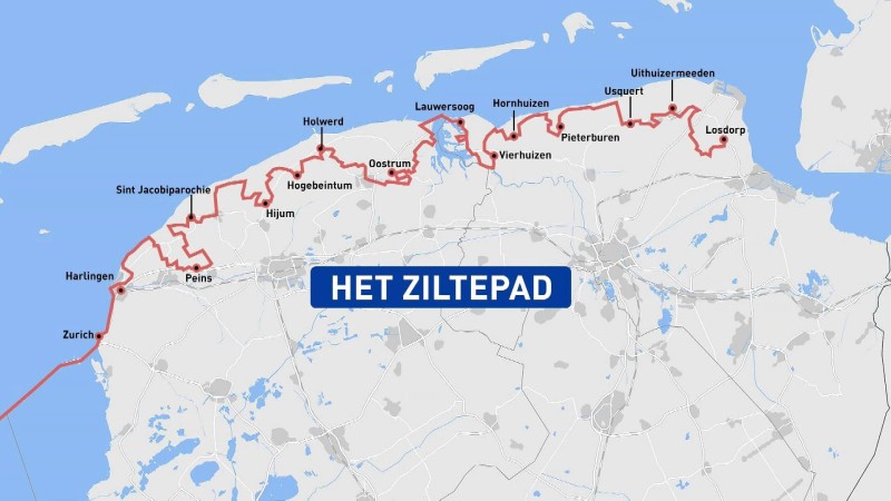 Ziltepad