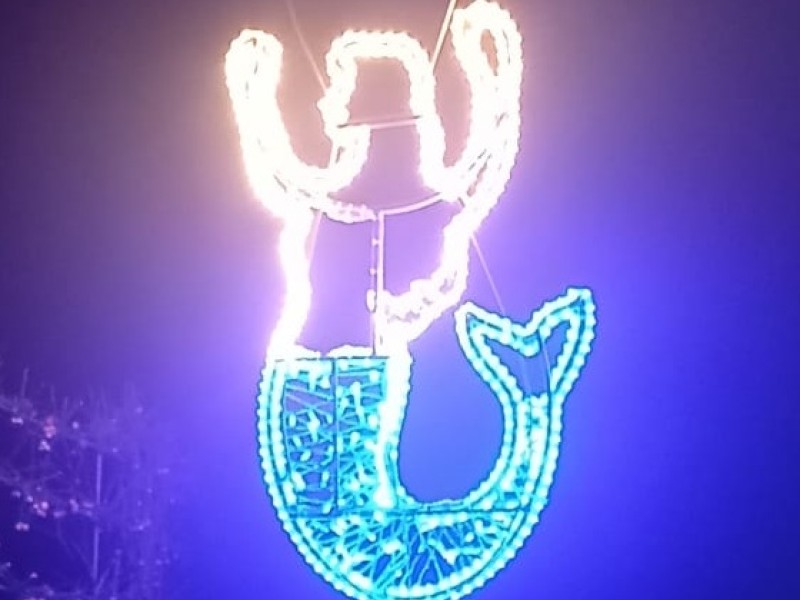 Nieuwe verlichting De Lange Pijp 