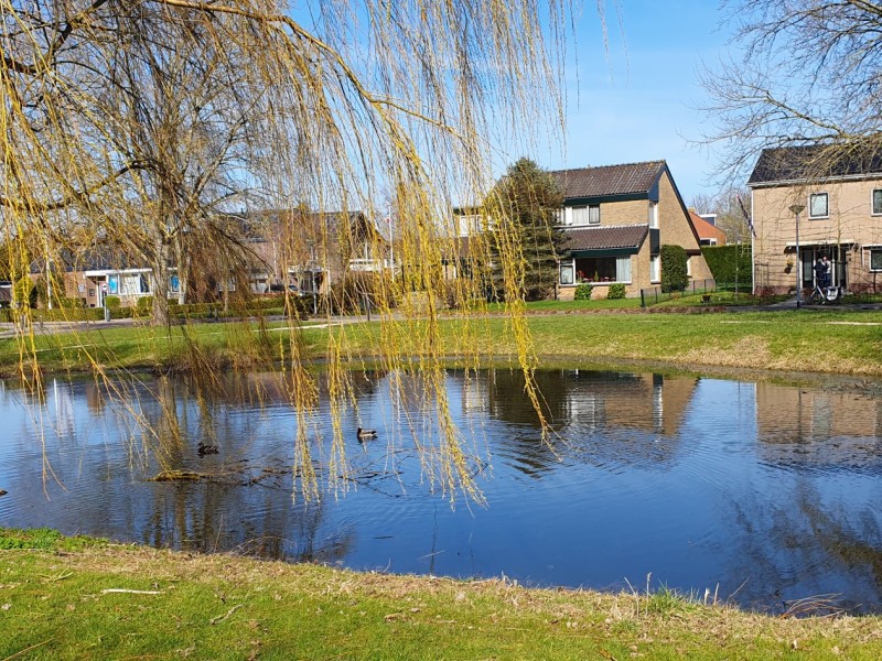 Vijver nabij de Guldenakker.